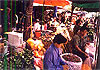Vegetable Market/Bangkok