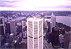 Northern View from Sydney Tower/Sydney