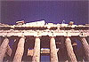 Parthenon/Athenae
