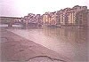 Arno River/Firenze